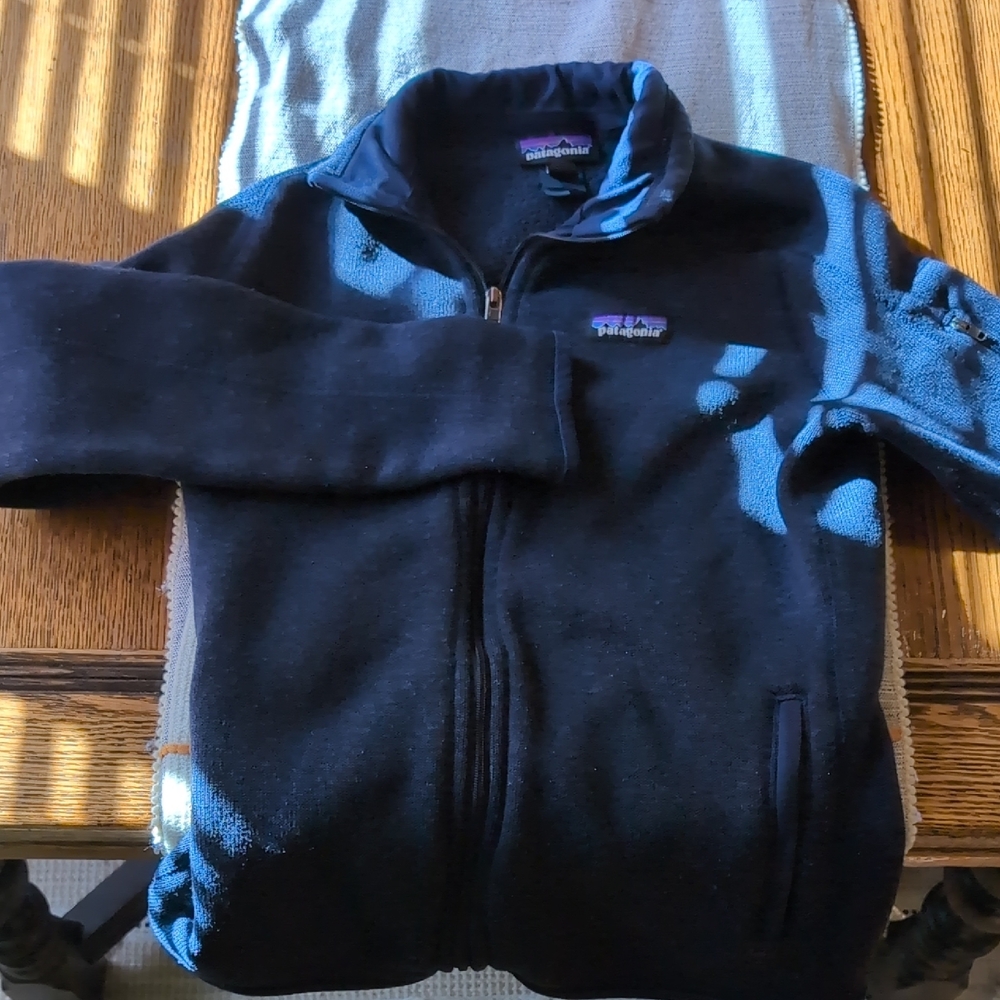 Patagonia Black Fleece Hoodie